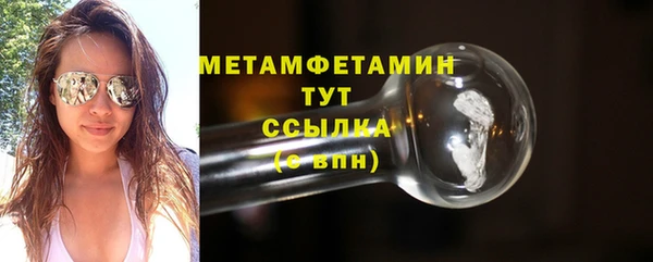 шишки Покачи