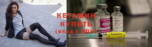 шишки Покачи