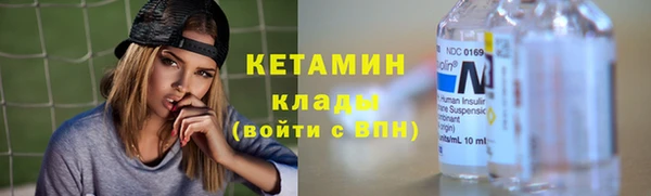 шишки Покачи