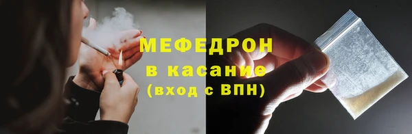 шишки Покачи