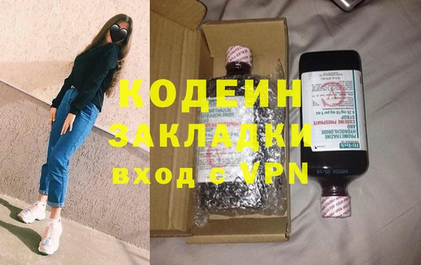 шишки Покачи