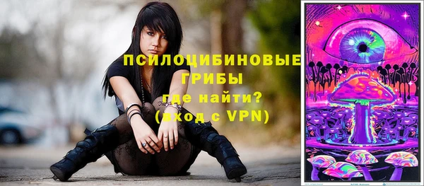spice Покровск