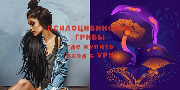 spice Покровск