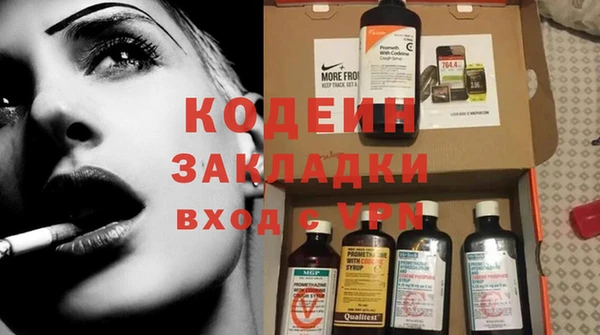 шишки Покачи