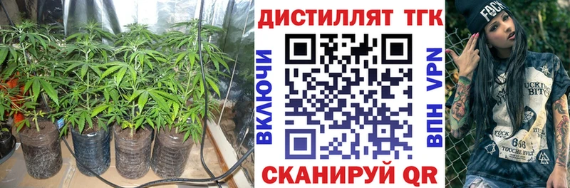 ТГК гашишное масло  где продают наркотики  Сельцо 