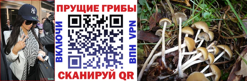 blacksprut ТОР  Сельцо  Галлюциногенные грибы GOLDEN TEACHER  продажа наркотиков 